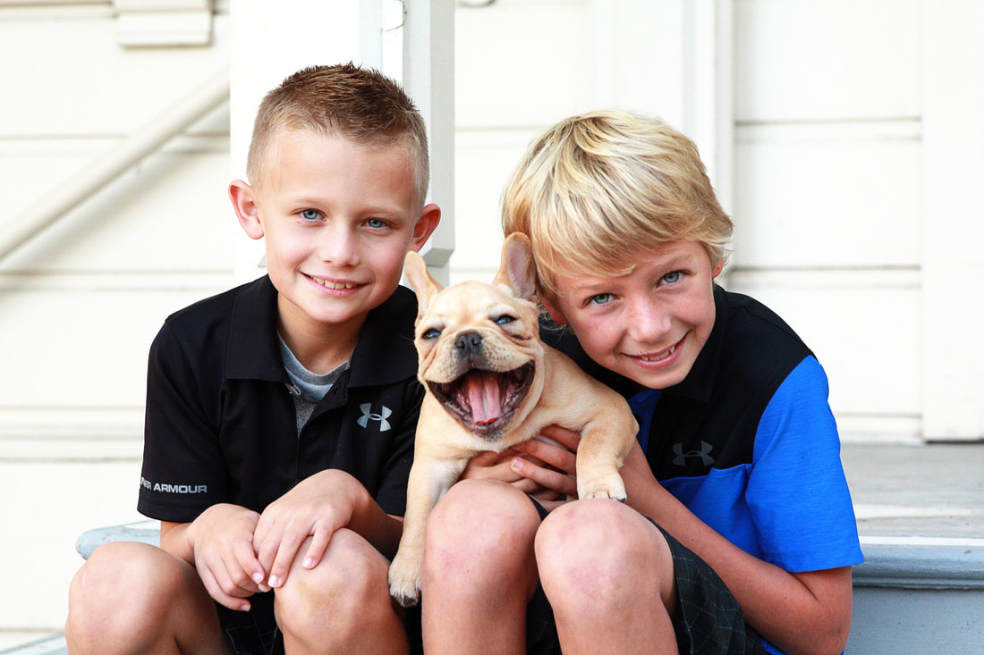 Two boys hold their yawning puppy at a park in Danville.